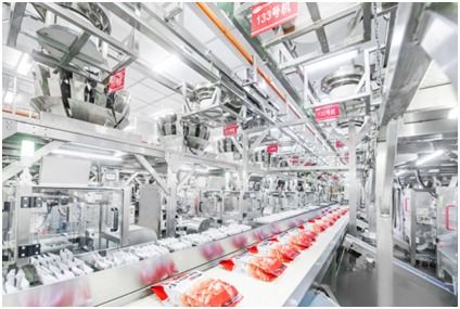 衛(wèi)龍 重塑品質(zhì)標(biāo)準(zhǔn),匠心打動世界